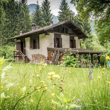 Chalet Silenthia Villa Lenzumo di Concei Dış mekan fotoğraf