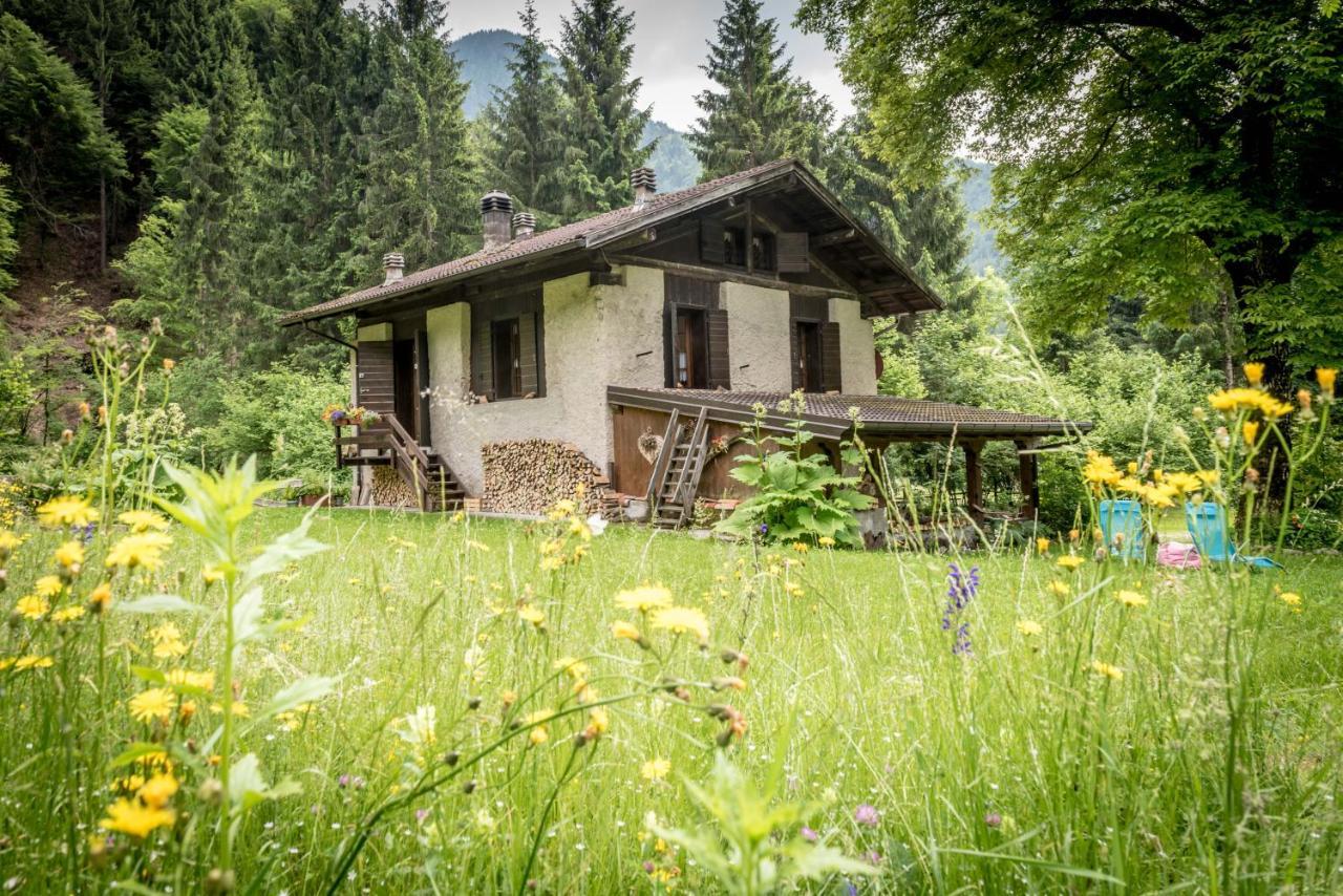 Chalet Silenthia Villa Lenzumo di Concei Dış mekan fotoğraf