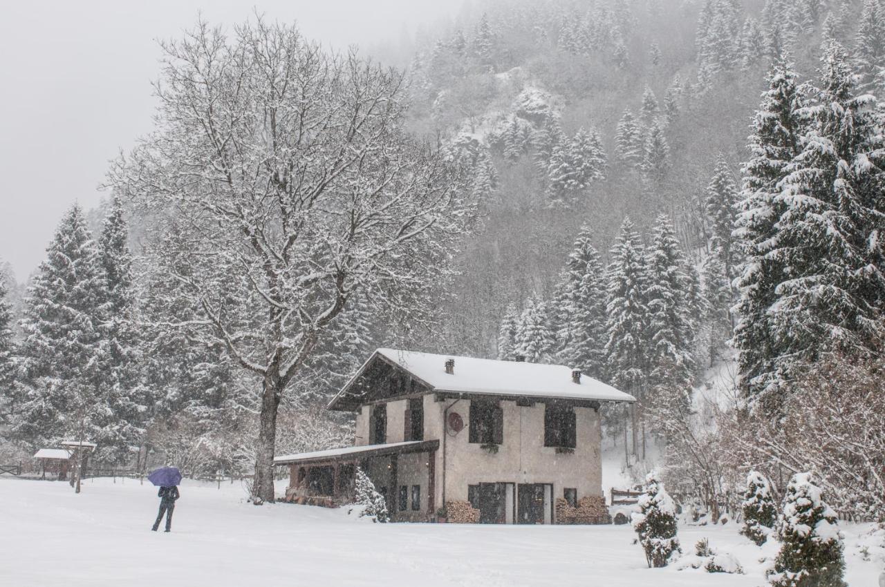 Chalet Silenthia Villa Lenzumo di Concei Dış mekan fotoğraf